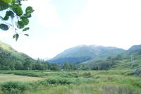 Hinter Bäumen das Glenfinnan Viaduct