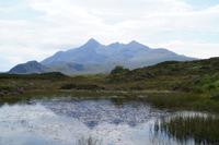 Sumpfgras vor Black Cuillins