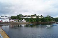 Portree, Skye - die Araukarie (der auffällige Baum beim Haus ganz rechts) zeigt das milde Klima an