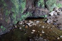 Quelle in der Smoo Cave