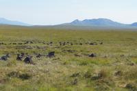 Trocknender Torf in der nordschottischen Einsamkeit