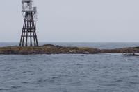 bei Flut ist hier alles überspült