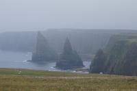 Die Duncansby Stacks