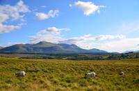 119 Blick vom Commando Memorial zum Ben Nevis
