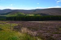128 Cairngorm Mountains, Corgarff Castle