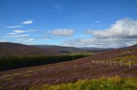 130 Cairngorm Mountains bei Corgarff Castle