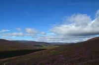 134 Cairngorm Mountains bei Corgarff Castle