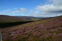 135 Cairngorm Mountains bei Corgarff Castle