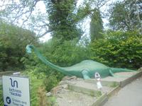 Ungeheuer von Loch Ness - gibt's so wirklich!