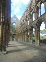 Abtei Jedburgh, Langhaus mit Rosenfenster