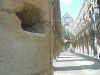 Abtei Jedburgh, Langhaus mit Rosenfenster