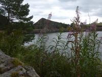 Pause am Hadrianswall