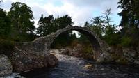 150 Carrbridge