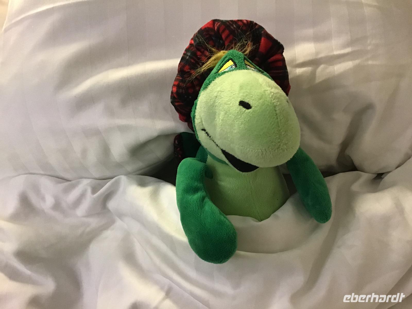 Nessi auf der Fähre 