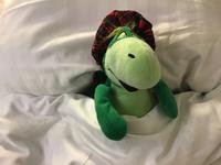 Nessi auf der Fähre 