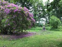 Balloch Castle Country Park 