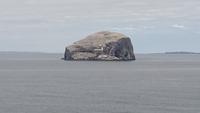 Bass Rock vor Tantallon Castle