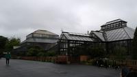 Botanischer Garten Glasgow 20180812 181357