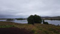 Rannoch Moor 20180813 180350