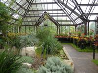 Glasgow - Botanischer Garten 