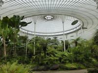 Glasgow - Botanischer Garten 