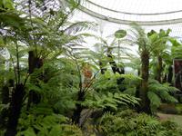 Glasgow - Botanischer Garten 