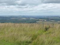 Blick vom Carter Bar 