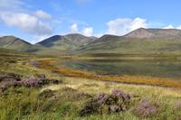 104 Isle of Skye, Red Cullin Hills