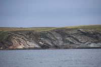269 Überfahrt zu den Orkneys, Isle of Stroma