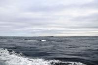 274 Überfahrt zu den Orkneys, Pentland Firth