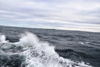 275 Überfahrt zu den Orkneys, Pentland Firth