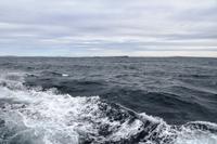 276 Überfahrt zu den Orkneys, Pentland Firth