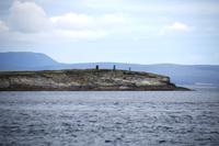 277 Überfahrt zu den Orkneys, Swona und Hoy