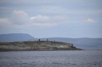 278 Überfahrt zu den Orkneys, Swona und Hoy