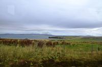 281 Okneys, Scapa Flow