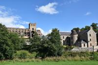 382 Jedburgh Abbey
