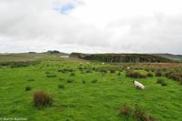 Rundreise Schottland