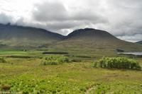 Rundreise Schottland-8