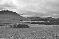 Rundreise Schottland-10