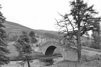 Rundreise Schottland-119