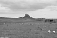 Rundreise Schottland-149