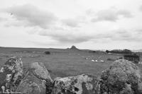 Rundreise Schottland-150