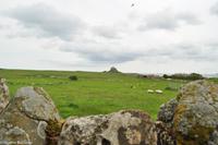 Rundreise Schottland-151