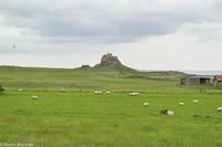 Rundreise Schottland-153