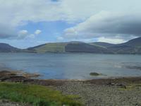 mitten in Mull
