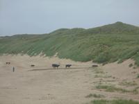 Strand von Durness und Balnakeil