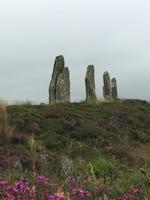 Ring of Brodgar - Steinkreis auf den Orkneys
