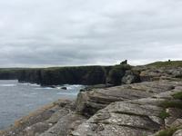 Felsenküste bei Old Wick Castle