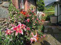 schöner Blumenschmuck an den kleinen Häusern