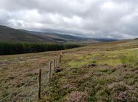 Cairngorm Nationalpark